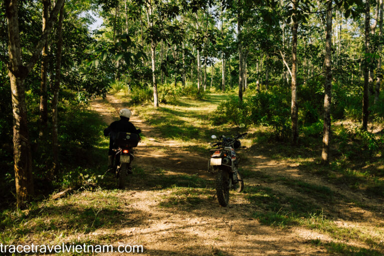 Hoi An: Off-Road Motorbike/Scooter Adventure with Waterfall